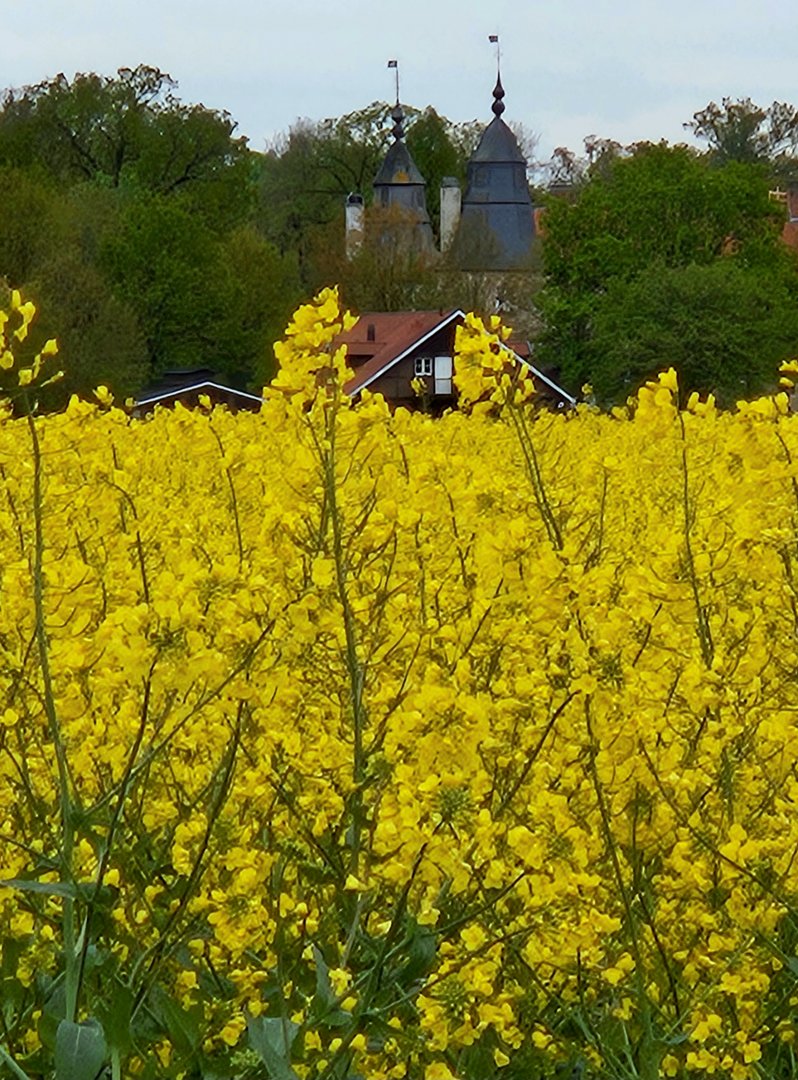Ferienwohnung Mechthild Hölscher - Header